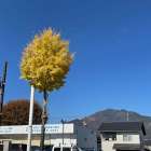 『社会性が身についているか』